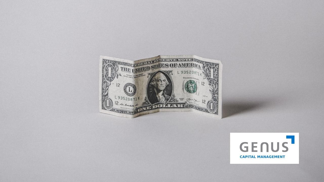 image of a dolar in a white background