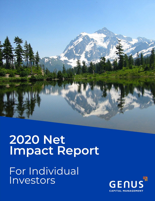 snowed mountain with lake and green trees in front of it. with a blue bar in front with the writting "2020 net impact report. For individual investors. Genus Capital Management"