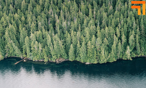 image of a lake with pine trees and Genus' orange arrow