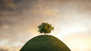 sustainable investing