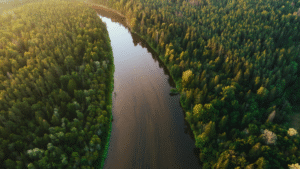 values-aligned investing