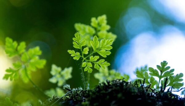 responsible-1-scaled-qmunwldwk6b81joki5hjny1eqhod96it9vsjg3qvvk-qrzql1nn17pn2esxaf8pq06xu7r6t60dt3g5kq7080 (1)